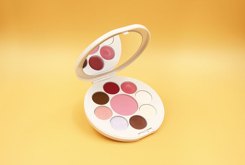 Developing the BLINDMAKE UD Palette, a Universally Designed Makeup Palette Proposed by a Person with a Visual Impairment