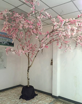 日本の象徴である桜
