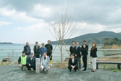 Collaborating with Sakura Namiki Network