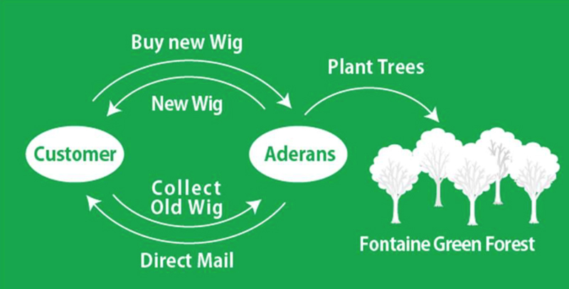 The scheme of Fontaine Green Forest