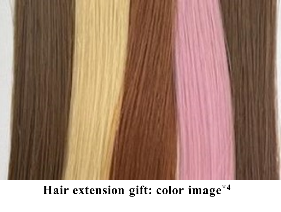 Hair extension gift color image.png