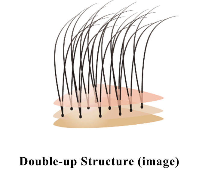 Double-up Structure (image).png