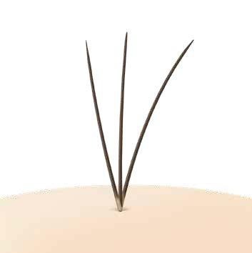 「インビジブル加工」で目立ちにくい増毛を実現