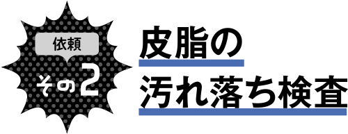 依頼その2 皮脂の汚れ落ち検査
