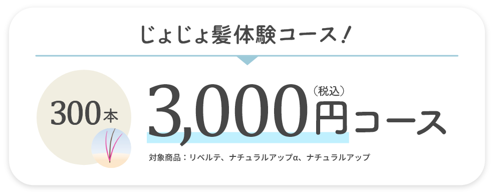 じょじょ髪体験コース 3000円