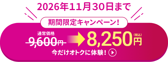 期間限定キャンペーン 8,250円