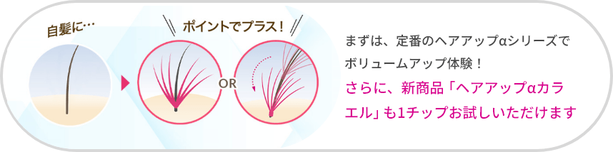まずは、定番の定番のヘアアップαシリーズでボリュームアップ体験!さらに、新商品「ヘアアップαカラエル」も1チップお試しいただけます