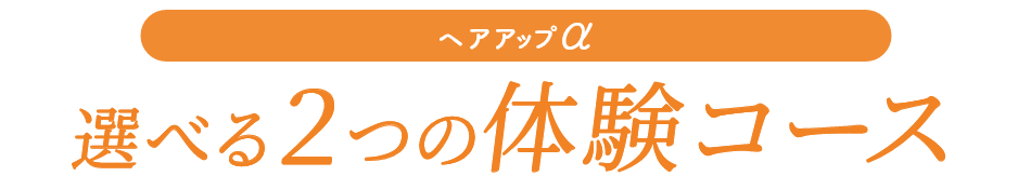 ヘアアップα　選べる2つの体験コース