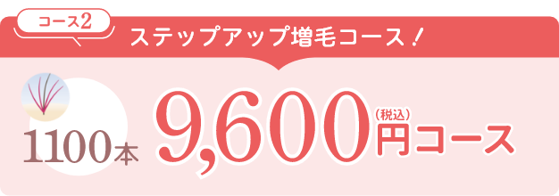 コース2　ステップアップ増毛コース！1100本9,600円（税込）コース