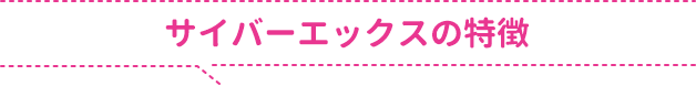 サイバーエックスの特徴