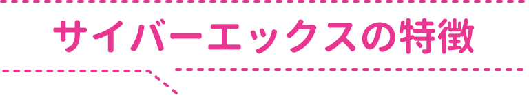 サイバーエックスの特徴