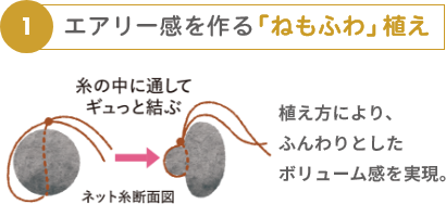 エアリー感を作る「ねもふわ」植え