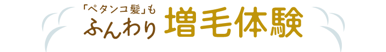 ふんわり増毛体験
