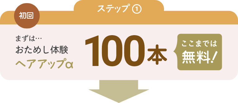 初回：まずはおためし体験ヘアアップα100本　ここまでは無料！