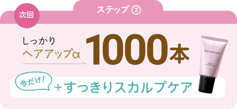 次回：しっかりヘアアップα　1000本＋今だけすっきりスカルプケア
