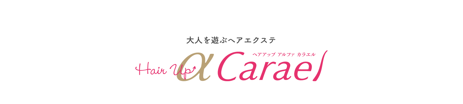 大人を遊ぶヘアエクステ　ヘアアップαカラエル
