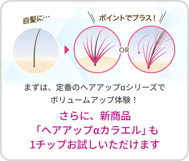ヘアアップαカラエル│30分増毛つけ放題キャンペーン3000円（税込