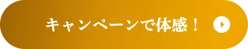 キャンペーンで体感！