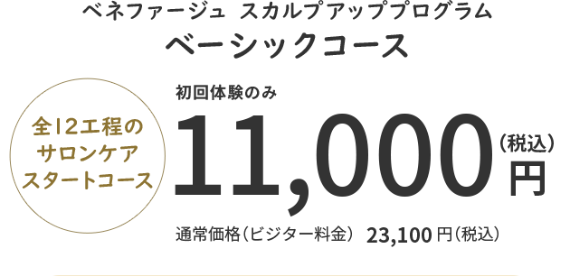 ベネファージュ スカルプアッププログラムベーシックコース 全12工程のサロンケアスタートコース 初回体験のみ 11,000円（税込）