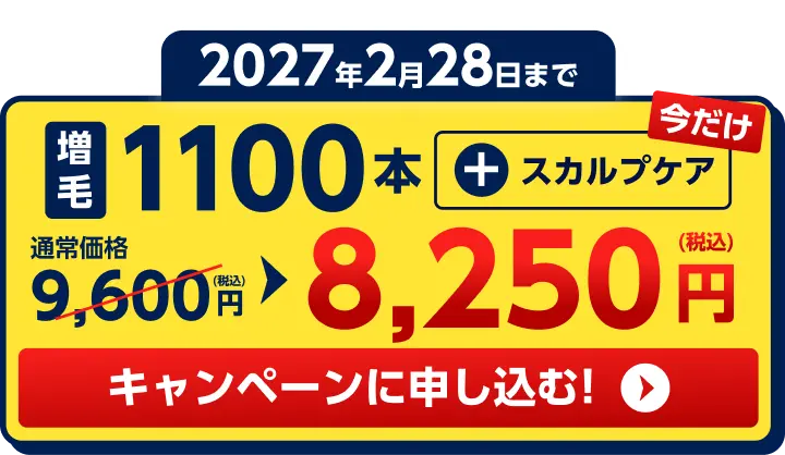 ステップアップ増毛キャンペーン