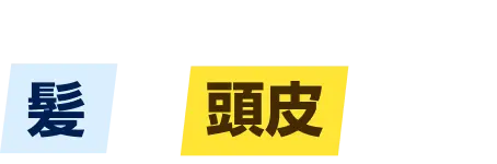 みんな気になる　髪と頭皮の悩み