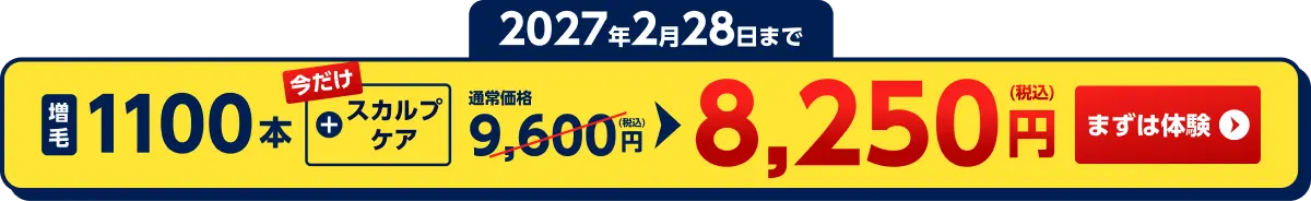 2027年2月28日まで　増毛1100本+スカルプケア(今だけ)　通常価格9,600円(税込)を8,250円(税込)に　まずは体験