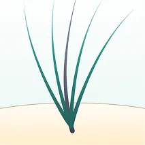 ピンポイントライズ