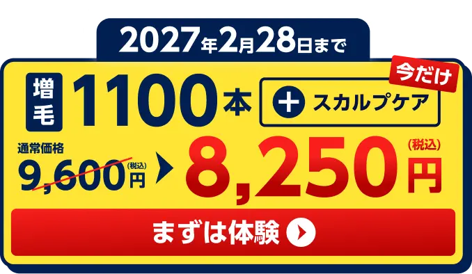 2027年2月28日まで　増毛1100本+スカルプケア(今だけ)　通常価格9,600円(税込)を8,250円(税込)に　まずは体験