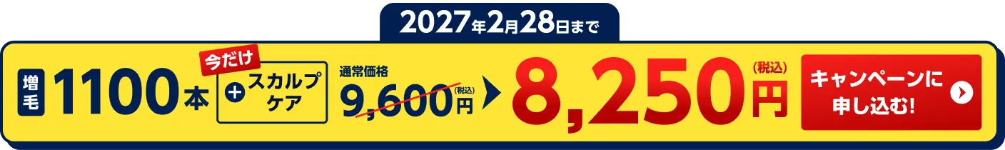 ステップアップ増毛キャンペーン