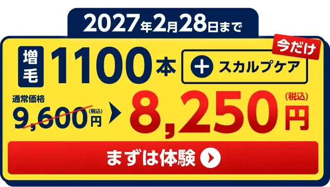 2027年2月28日まで　増毛1100本+スカルプケア(今だけ)　通常価格9,600円(税込)を8,250円(税込)に　まずは体験