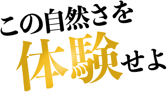 この自然さを体験せよ
