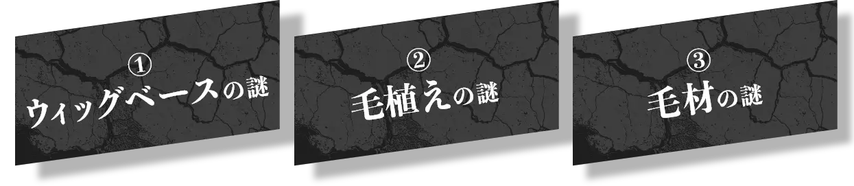 ①ウィッグベースの謎②毛植えの謎③毛材の謎