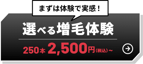 まずは体験で実感！選べる増毛体験　250本　2,500円（税込）～