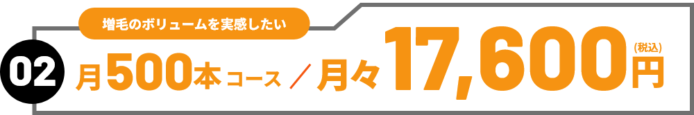 02　増毛のボリュームを実感した　月500本コース／月々17,600円（税込）