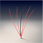 ピンポイントライズ