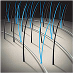 バイタルEXファストライン