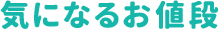 気になるお値段