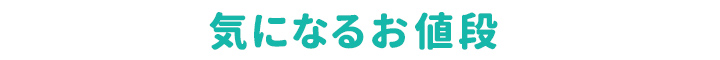 気になるお値段