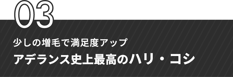 03　少しの増毛で満足度アップ　アデランス市場最高のハリ・コシ