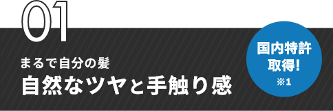 01 まるで自分の髪 自然なツヤと手触り感
