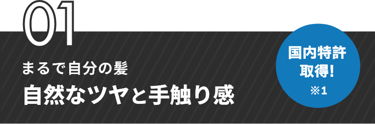 01 まるで自分の髪 自然なツヤと手触り感