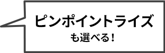 ピンポイントライズも選べる！
