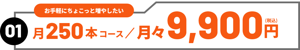 01　お手軽にちょこっと増やしたい　月250本コース／月々9,900円（税込）