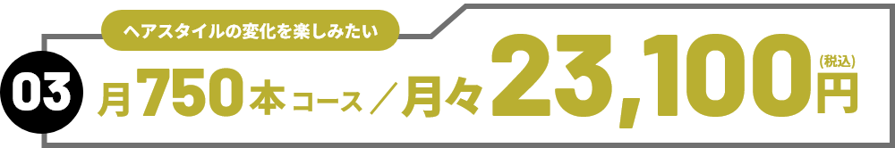 03　ヘアスタイルの変化を楽しみたい　月750本コース／月々23,100円（税込）