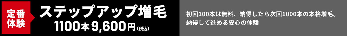 TYPE02 ステップアップ増毛