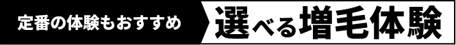 定番の体験もおすすめ　選べる増毛体験