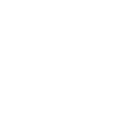 Step 03