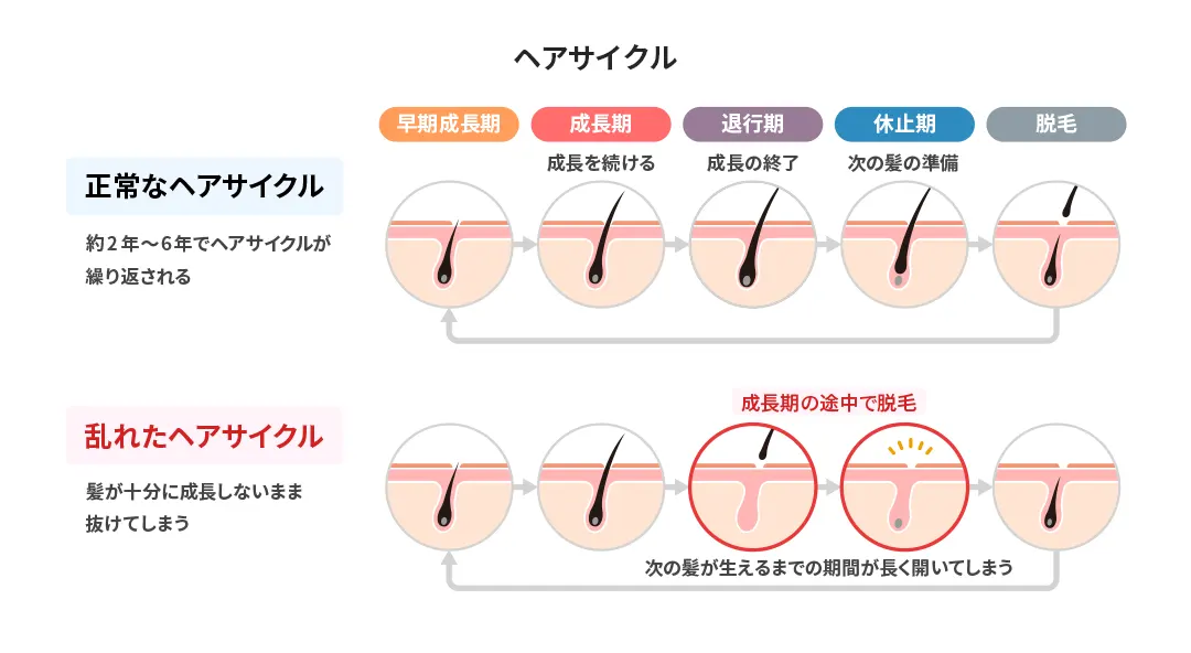 ヘアサイクル