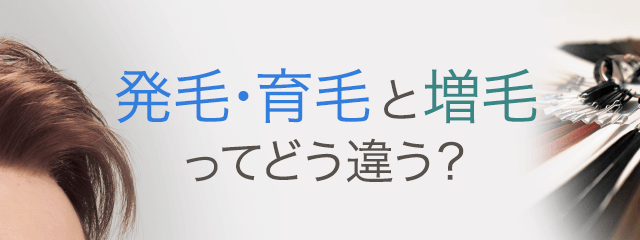 発毛・育毛と増毛ってどう違う?