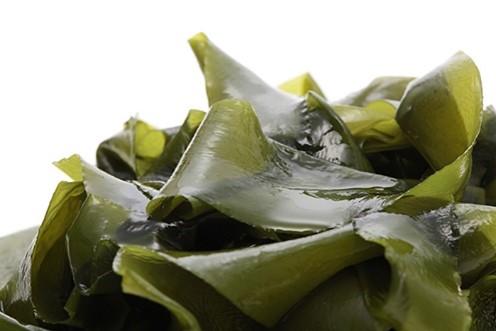 女性とドライヤー